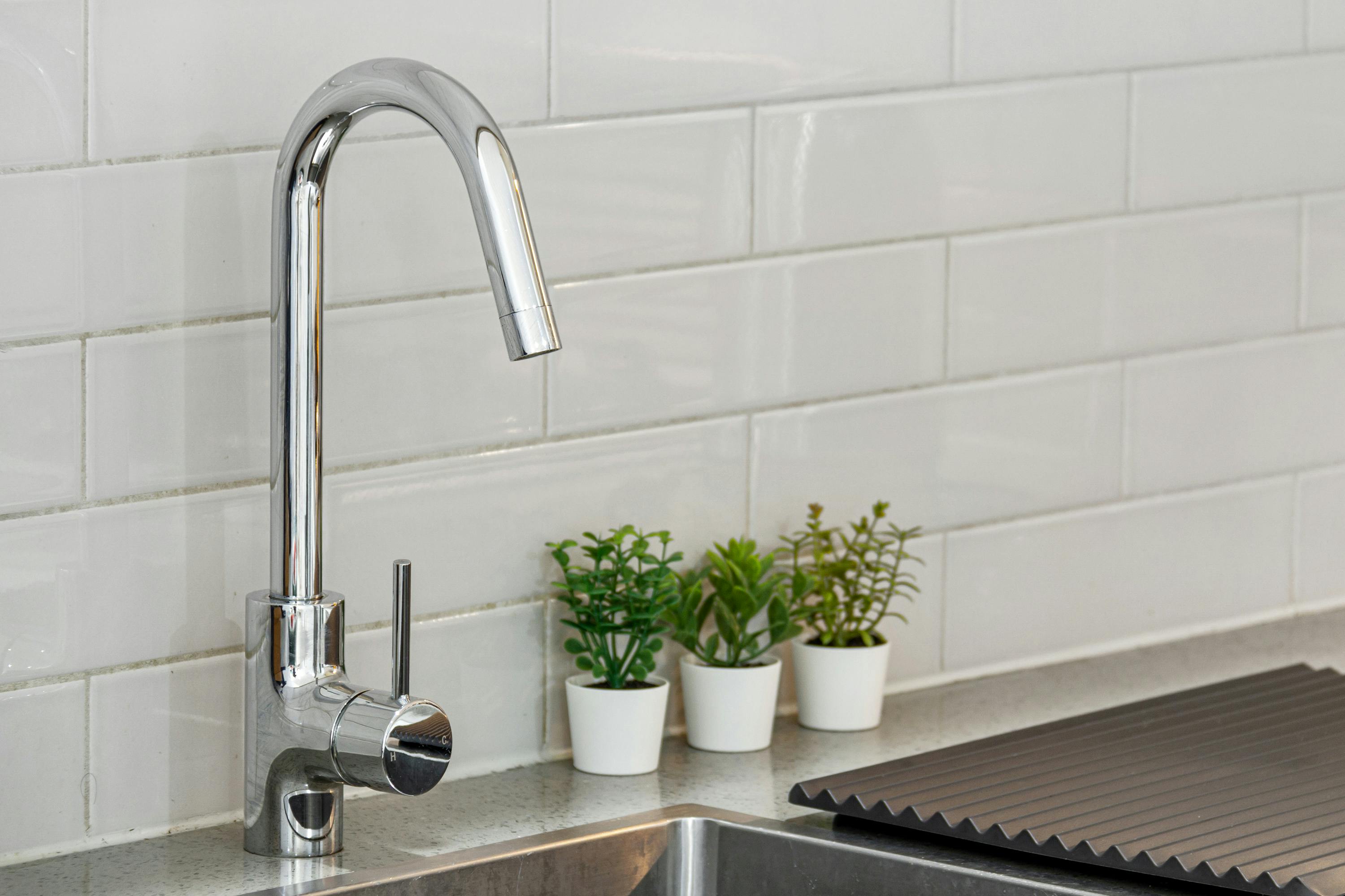 Nice sink faucet with plants